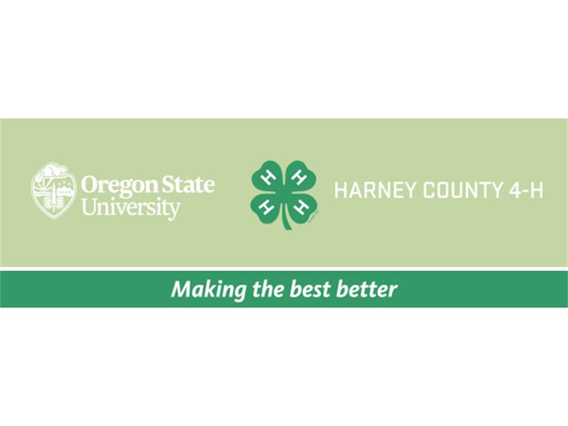 Fair Logo